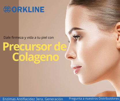 Precursor de Colageno Orkline